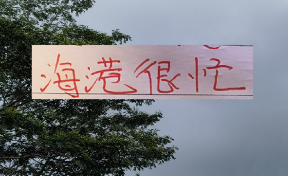 爱游戏体育-2026年海港应该是最忙的球队 去年还有申花陪 今年只能是孤勇者