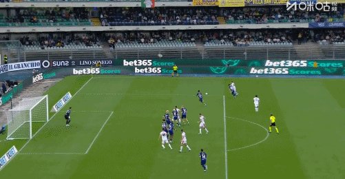 1776614296668017456.gif a3.gif